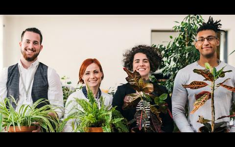 Faste grønne møder