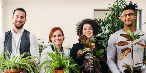 Faste grønne møder